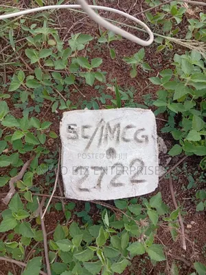 A Plot of Land Available for Sale