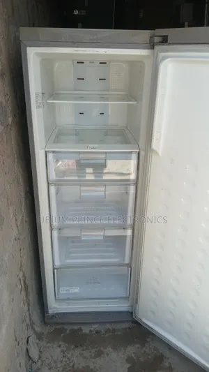 Samsung Inverter 6 Steps Standing Freezer