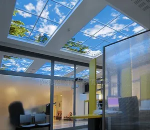 Dream 3d Stretch Ceiling