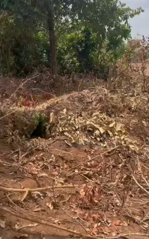 Afordable Plots of Land for Sale at Owerri Luxury Airport