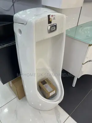 Big Sensor Urinal Bowl