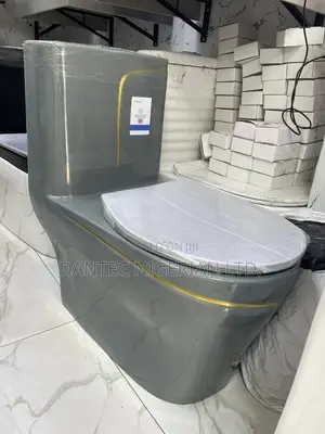 Grey Round Seat and Tank With Basin/Pedestal