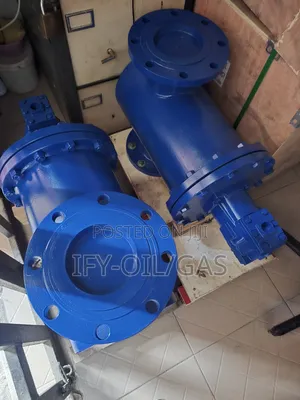 Dn150 Strainer Wit Air Eliminator