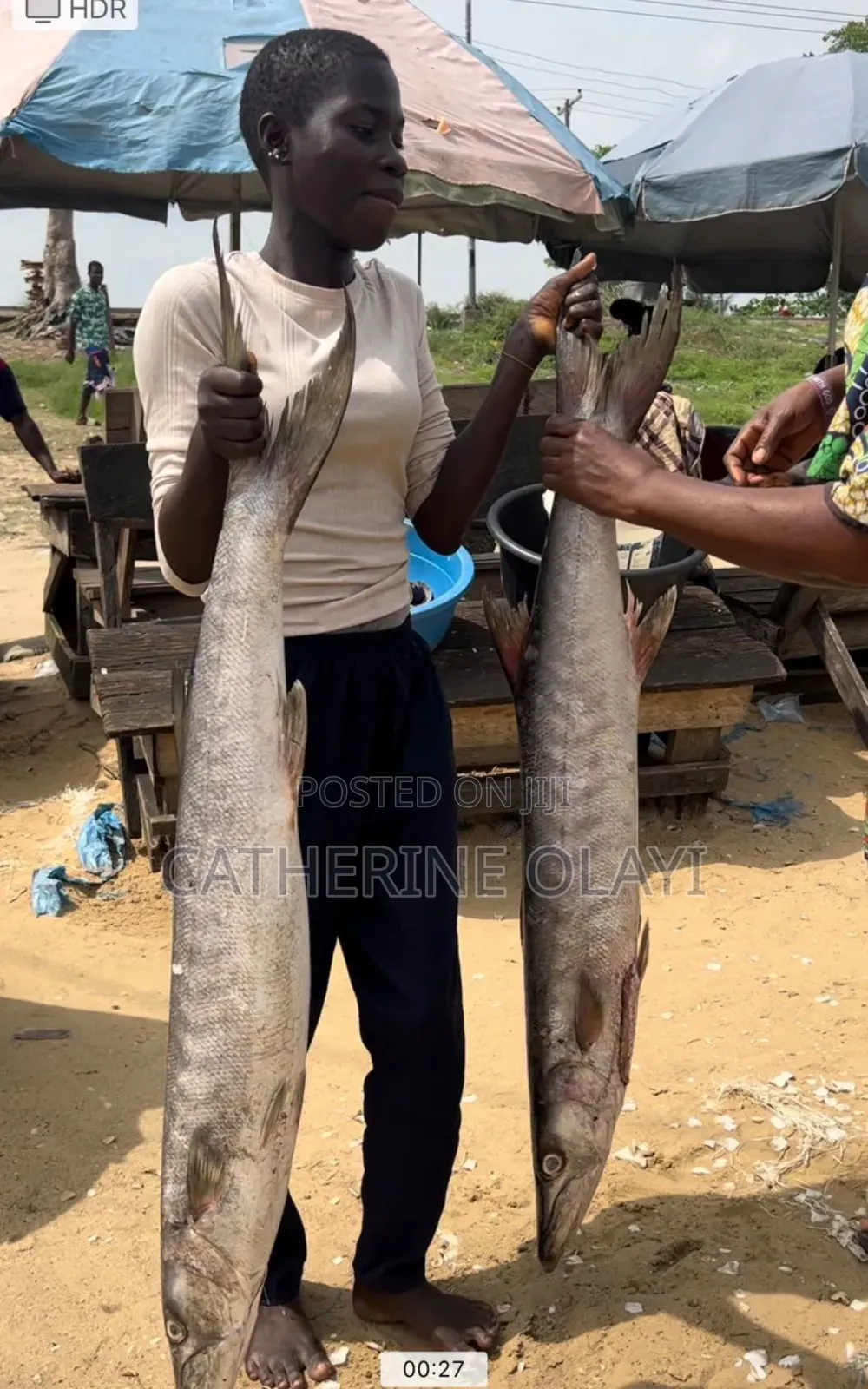 Baracuda Fish