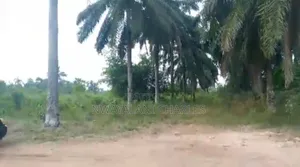 Strategically Located Plots for Sale