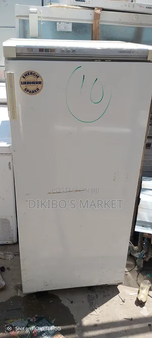 Tokunbo Ice Block Freezer, Liebherr Direct German Product
