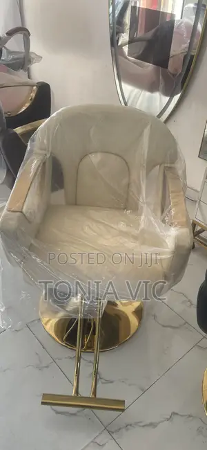 Salon Chair