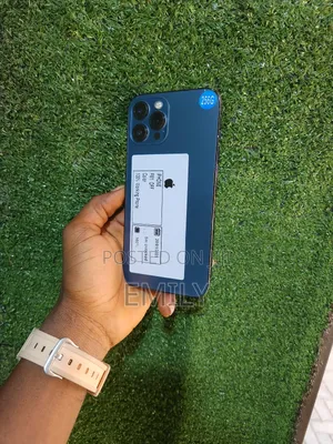 Apple iPhone 12 Pro Max 256 GB Blue