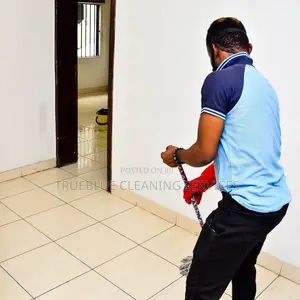 Fortnightly Cleaning