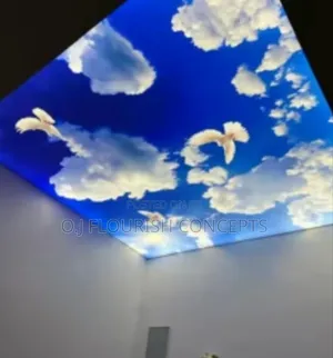 Birds Stretch Ceiling