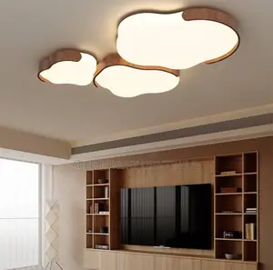 Modern Led Ceiling Light for Living Room Bedroom