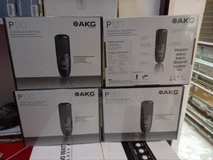 Akg P120 Condenser Microphone