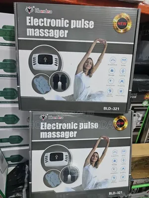 Electronic Pulse Massager