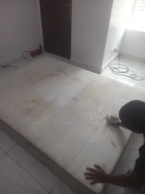 Couch, Bed and Carpet Washing