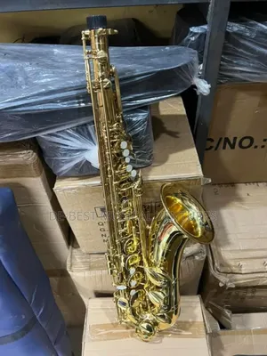 Alto Saxophone Professional