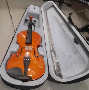 Violin Professional Quality