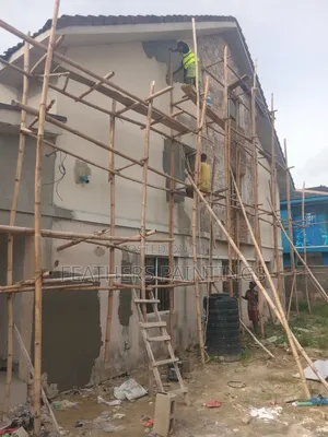 Professional Wall Screeding and Painting in Lagos