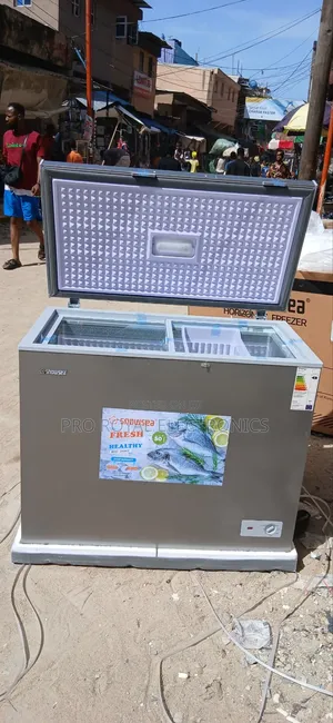 Snowsea Freezer