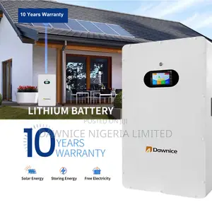 Dawnice 16kwh 51.2v 314ah Wall Battery for Home Power