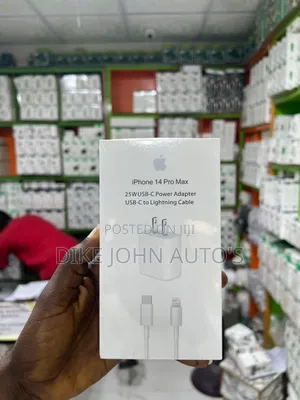Original iPhones Charger (2pins)