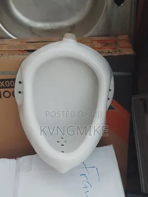 Men's Urinary Bowl