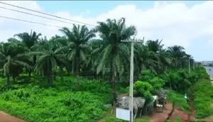 82.817acres of Palm Trees,Fish Pond Etc Farmland
