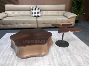 Quality Coffee Table 2in1 Set