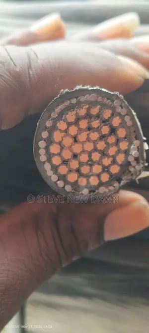 2.5mm 37 Core Armoured Cable