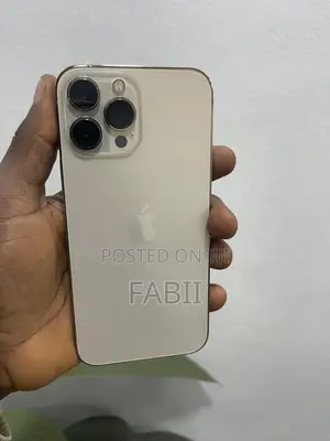 Apple iPhone 13 Pro Max 256 GB Gold