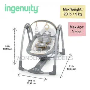 Swing 'n Go Deluxe 5-speed Baby Swing With Cushioned Harness