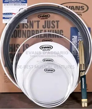 Evans Drum Head (Original)