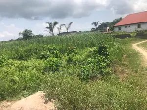 Full Plot of Land in Yabatech Lagasa, Lokowe School Gate for Car Swap