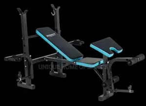 Bodyfit Weight Bench Preachers Curl and Curl Leg