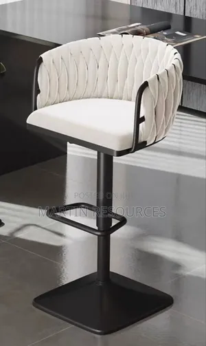 Adjustable Bar Stool With Backrest