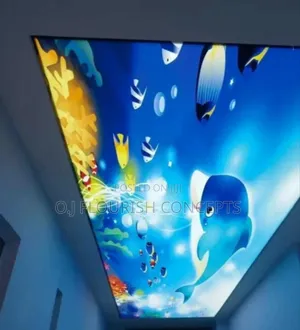 3d Stretch Ceiling