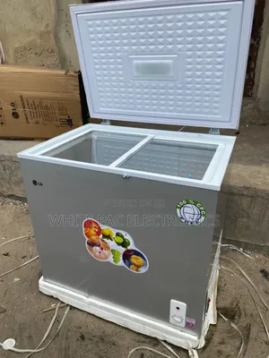 Lg 300 Litre Solar Nepa Freezer Inner Glass Fast Freezing > 2 Yrs