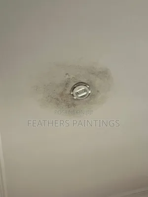 Professional Mould Treatment and Painting in Lagos