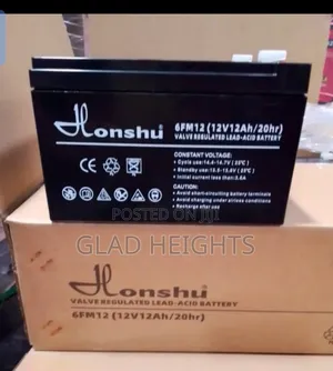 Honshu Gel 12/12ah Ups Battery