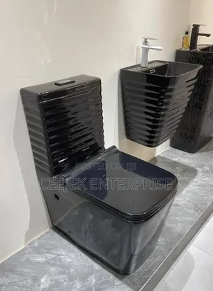 Black Exacutive Water Closet With Hangin Basin