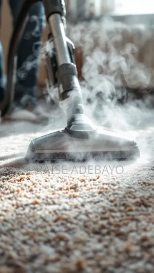 Expert Cleaner + Handyman – Sparkling Homes Quick Repairs