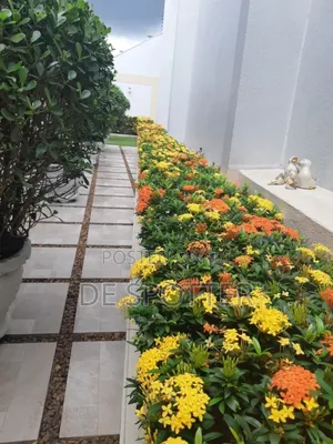 Flowering/ Landscaping