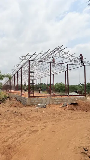 Poultry Infrastructural Setup Company in Nigeria 10,000 and Above