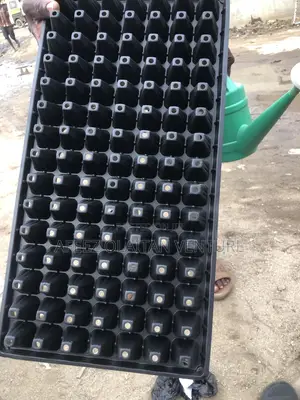 Seed Trays