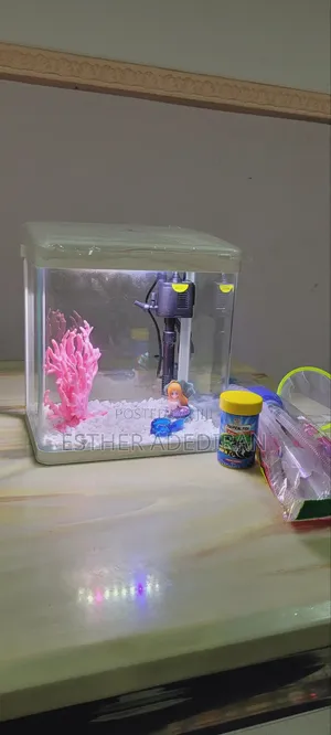 9 Litres Aquarium - Complete Set