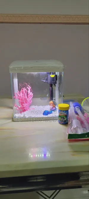 9 Litres Aquarium - Complete Set
