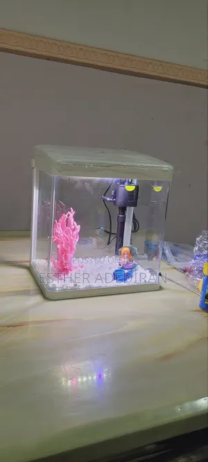 9 Litres Aquarium - Complete Set