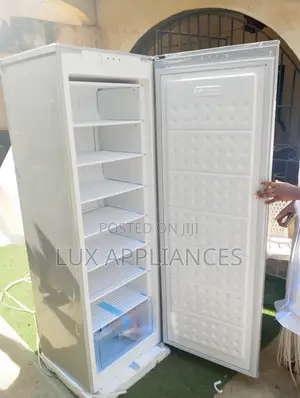 Haier Thermocool 235l Standing Freezer With Inverter Technology