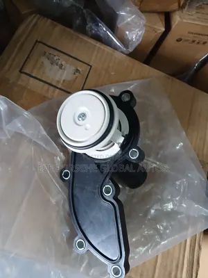 Engine Thermostat V6 3.2 Audi Q5, A5 and A6