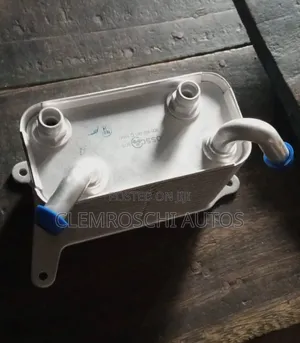 High Quality Certified Brand New Oil Coolant Volkswagen Phaetom