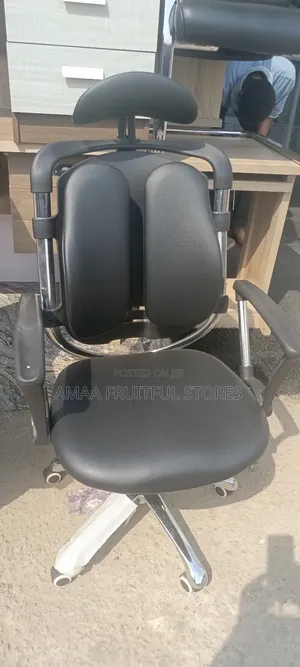 Executive Kidney Chair